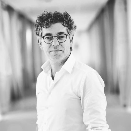 Prof. dr. Hans Merks - thumbnail